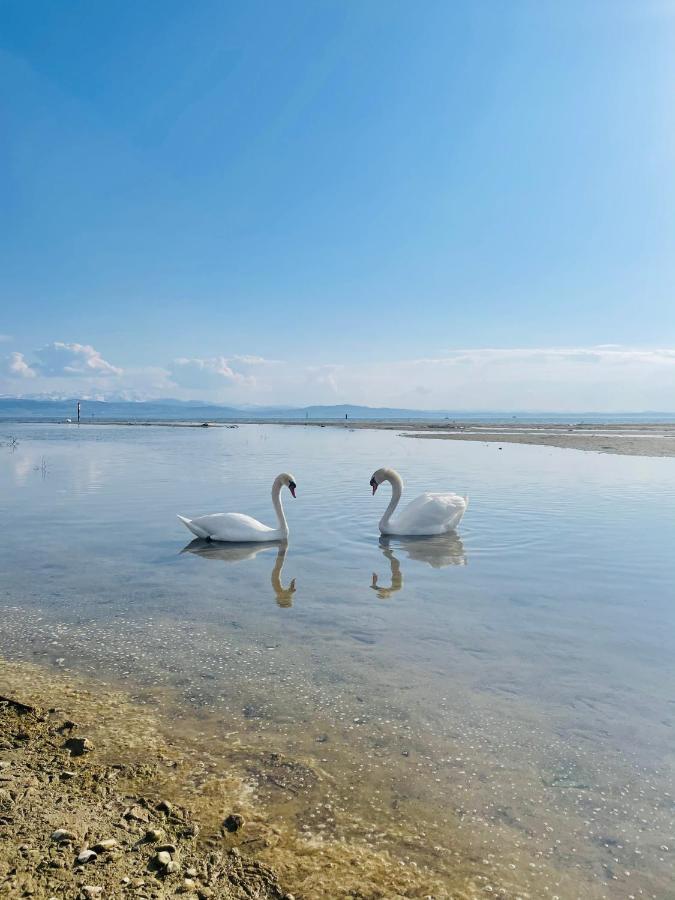 " Sunshine Am See " Friedrichshafen Bagian luar foto