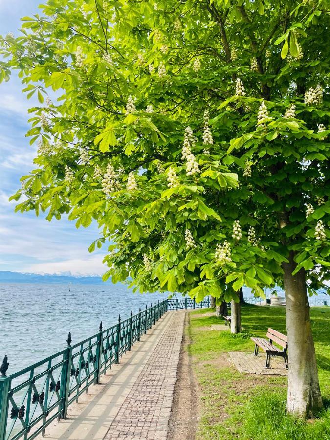 " Sunshine Am See " Friedrichshafen Bagian luar foto