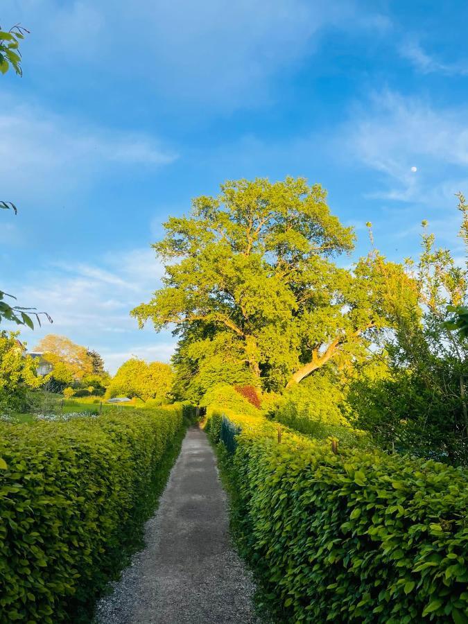 " Sunshine Am See " Friedrichshafen Bagian luar foto